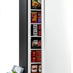 Upright Freezer BANGSON 6.5 Cu.ft Silver Standup with Reversible Door-0