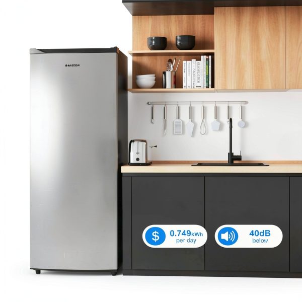 Upright Freezer BANGSON 6.5 Cu.ft Silver Standup with Reversible Door-5